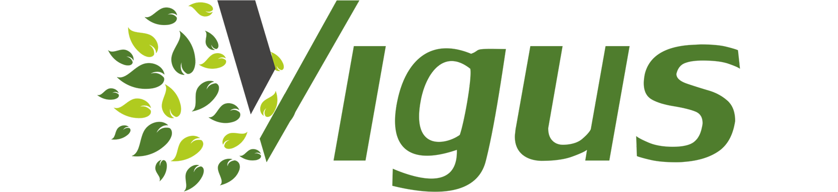 Vigus