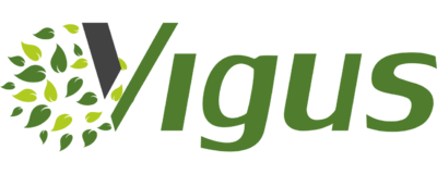 Vigus
